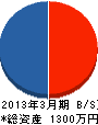 枝坂工業 貸借対照表 2013年3月期