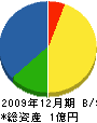 中山塗装 貸借対照表 2009年12月期