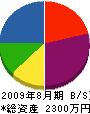 村井造園土木 貸借対照表 2009年8月期