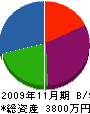 平山建設 貸借対照表 2009年11月期
