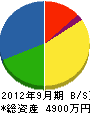 藤井電気工事 貸借対照表 2012年9月期
