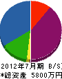 伊藤電気 貸借対照表 2012年7月期