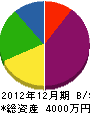 新川松村組 貸借対照表 2012年12月期