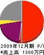 ヤマグチ塗装工業 損益計算書 2009年12月期