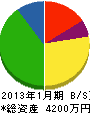 田川 貸借対照表 2013年1月期