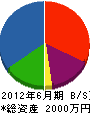 竹内電設 貸借対照表 2012年6月期