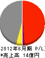 沖縄ピーシー 損益計算書 2012年6月期