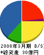 菱彩テクニカ 貸借対照表 2008年3月期