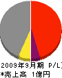 徳島工業 損益計算書 2009年9月期