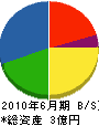平山電気商会 貸借対照表 2010年6月期