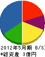 村岡組 貸借対照表 2012年5月期