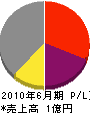 大塚工電社 損益計算書 2010年6月期