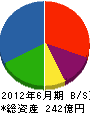 大丸藤井 貸借対照表 2012年6月期