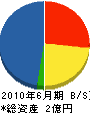 暁 貸借対照表 2010年6月期