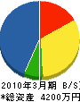 斉和 貸借対照表 2010年3月期
