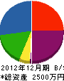 須藤電気商会 貸借対照表 2012年12月期
