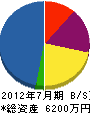 長谷川通信工業 貸借対照表 2012年7月期