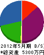野澤電器 貸借対照表 2012年5月期