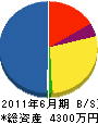 山晃電気 貸借対照表 2011年6月期