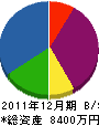 齋藤工業 貸借対照表 2011年12月期