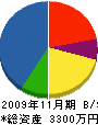 木庭モータース 貸借対照表 2009年11月期