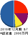 江田緑地建設 貸借対照表 2010年12月期