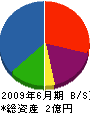 昭和商工 貸借対照表 2009年6月期