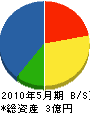 富士電気商会 貸借対照表 2010年5月期