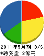 斎藤組建設 貸借対照表 2011年5月期