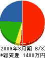 渡辺緑化園 貸借対照表 2009年3月期