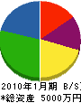 辻鈑金工業 貸借対照表 2010年1月期