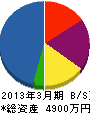 九州レイキシステムズ 貸借対照表 2013年3月期