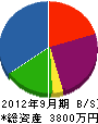 渡辺木工 貸借対照表 2012年9月期