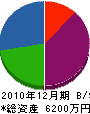坂部電設工業 貸借対照表 2010年12月期