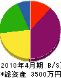 小澤設備 貸借対照表 2010年4月期