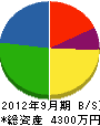 ニュープラン永井組 貸借対照表 2012年9月期