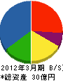 旭エー・ブイ産業 貸借対照表 2012年3月期