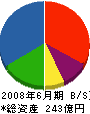 大丸藤井 貸借対照表 2008年6月期