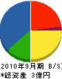 東日本技建 貸借対照表 2010年9月期