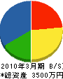 櫻本工務店 貸借対照表 2010年3月期