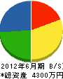 前田土木 貸借対照表 2012年6月期