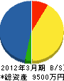 大澤塗装工業 貸借対照表 2012年3月期
