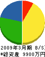 前田建設 貸借対照表 2009年3月期