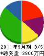 斉藤塗装店 貸借対照表 2011年9月期