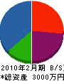 藤本電気 貸借対照表 2010年2月期