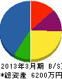 浅沼電気商会 貸借対照表 2013年3月期