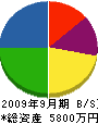 大湊組 貸借対照表 2009年9月期