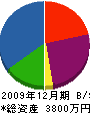 システム平野 貸借対照表 2009年12月期