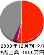 紅建設 損益計算書 2009年12月期