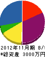 三藤 貸借対照表 2012年11月期